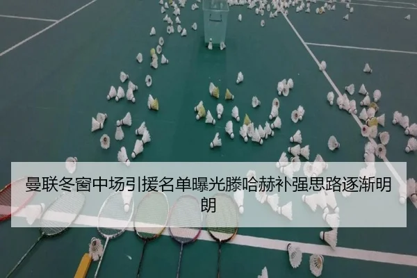 曼联冬窗中场引援名单曝光滕哈赫补强思路逐渐明朗